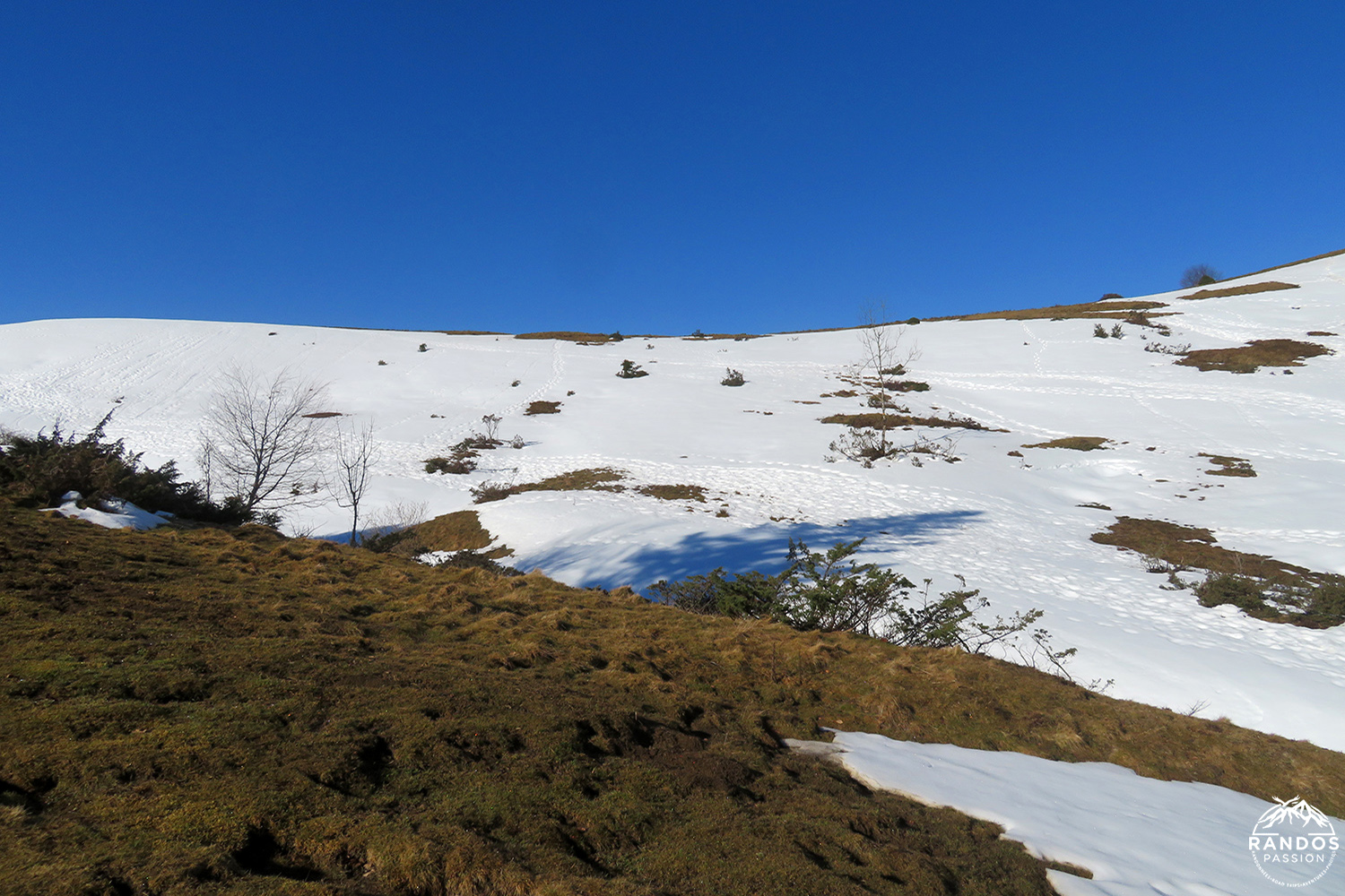 Randonnée dans le Comminges au Pic de Paloumère Randonnée dans le Comminges au Pic de Paloumère